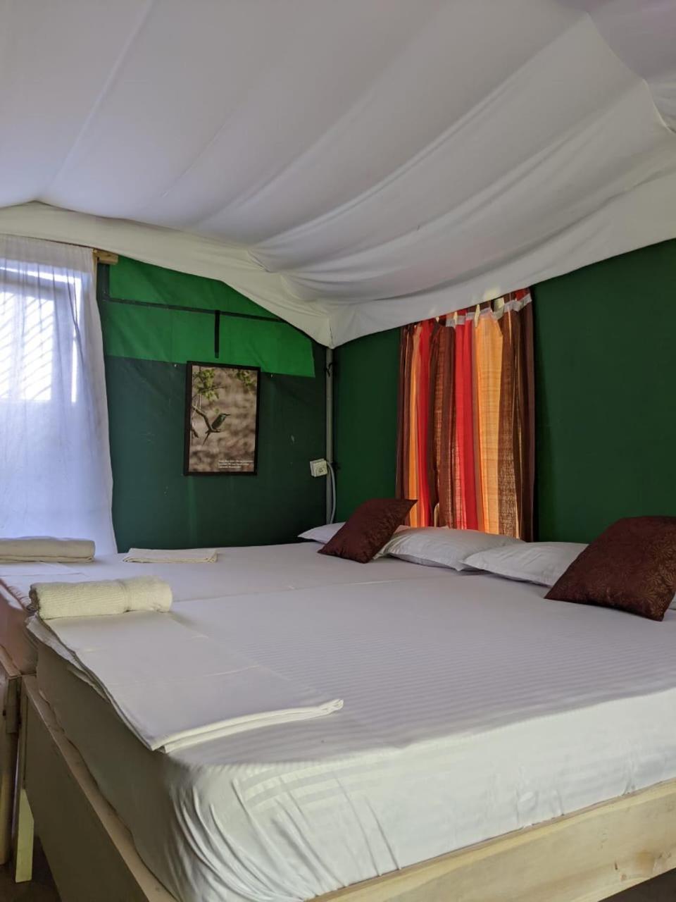 Nirvaan Safari Lodge Wilpattu Exterior foto